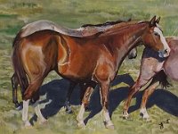 Chestnut and 2 roans 12x16